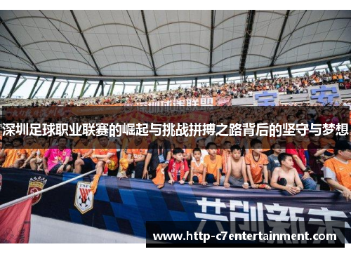 深圳足球职业联赛的崛起与挑战拼搏之路背后的坚守与梦想