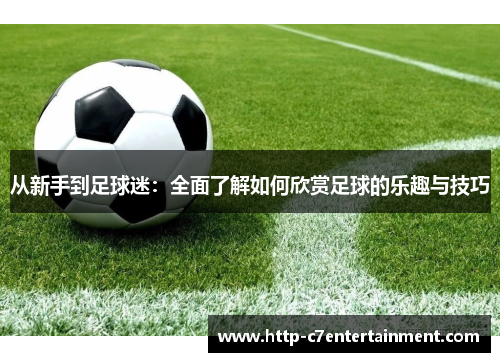 从新手到足球迷:全面了解如何欣赏足球的乐趣与技巧 从新手到足球迷:全面了解如何欣赏足球的乐趣与技巧