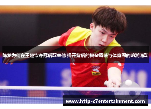陈梦为何在王楚钦夺冠后取关他 揭开背后的复杂情感与体育圈的暗潮涌动 陈梦为何在王楚钦夺冠后取关他 揭开背后的复杂情感与体育圈的暗潮涌动
