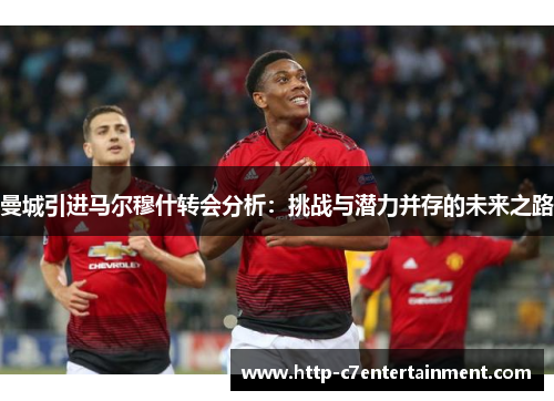 曼城引进马尔穆什转会分析:挑战与潜力并存的未来之路 曼城引进马尔穆什转会分析:挑战与潜力并存的未来之路