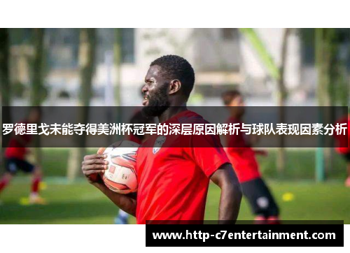 罗德里戈未能夺得美洲杯冠军的深层原因解析与球队表现因素分析 罗德里戈未能夺得美洲杯冠军的深层原因解析与球队表现因素分析