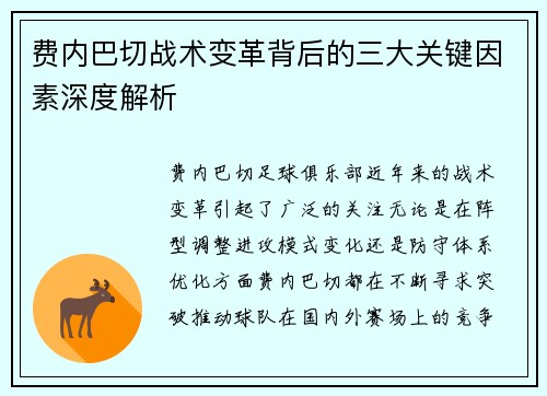 费内巴切战术变革背后的三大关键因素深度解析