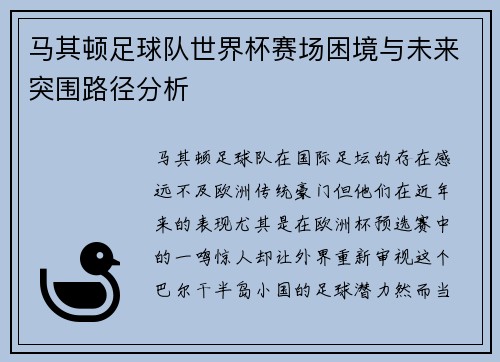 马其顿足球队世界杯赛场困境与未来突围路径分析